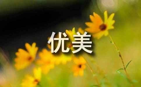 高二话题作文:关于保护传统节日的高中作文800字